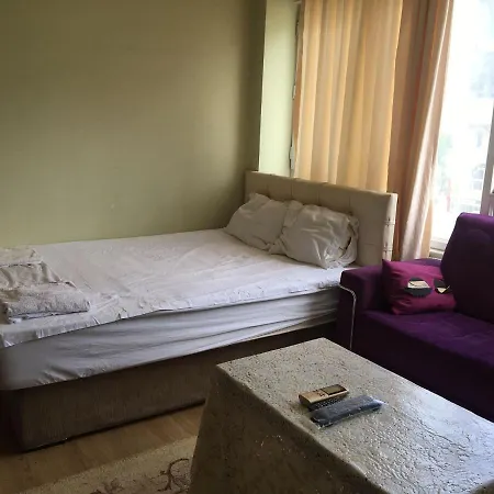 公寓 Taksim Apartman 伊斯坦布尔